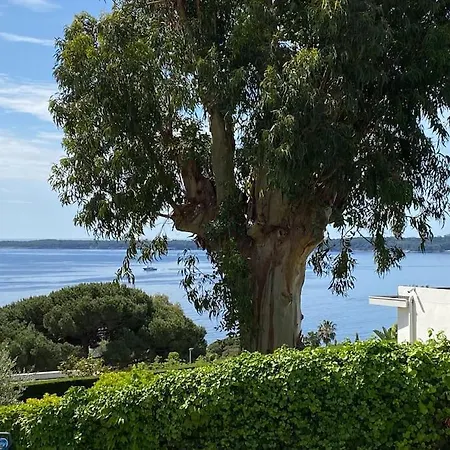 Luxury 4 Bedrooms In * Cannes